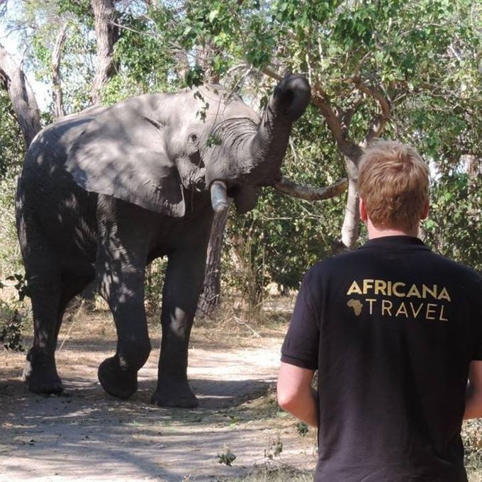 David på Africana Travel på safari i Moremi Game Reserve i Botswana